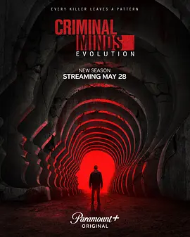 犯罪心理：演变 第十九季 Criminal Minds: Evolution Season 19封面图