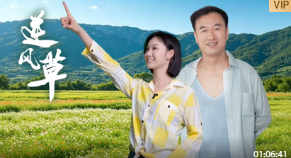 逆风草封面图