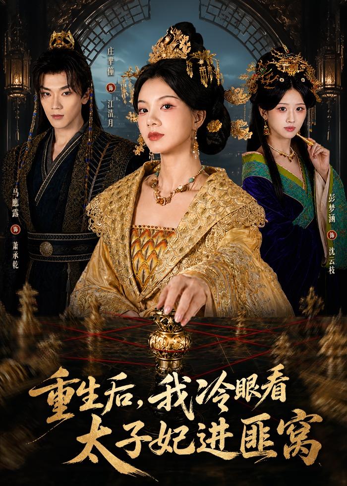 重生后，我冷眼看太子妃进匪窝封面图
