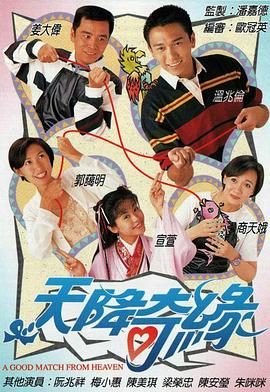 天降奇缘国语封面图
