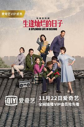 生逢灿烂的日子封面图