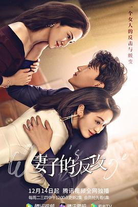 妻子的反攻封面图