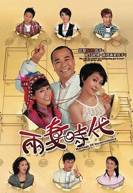两妻时代封面图
