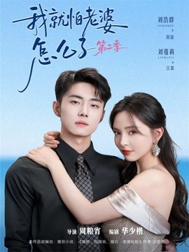 我就怕老婆怎么了第二季封面图