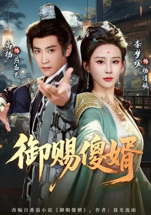 御赐傻婿封面图
