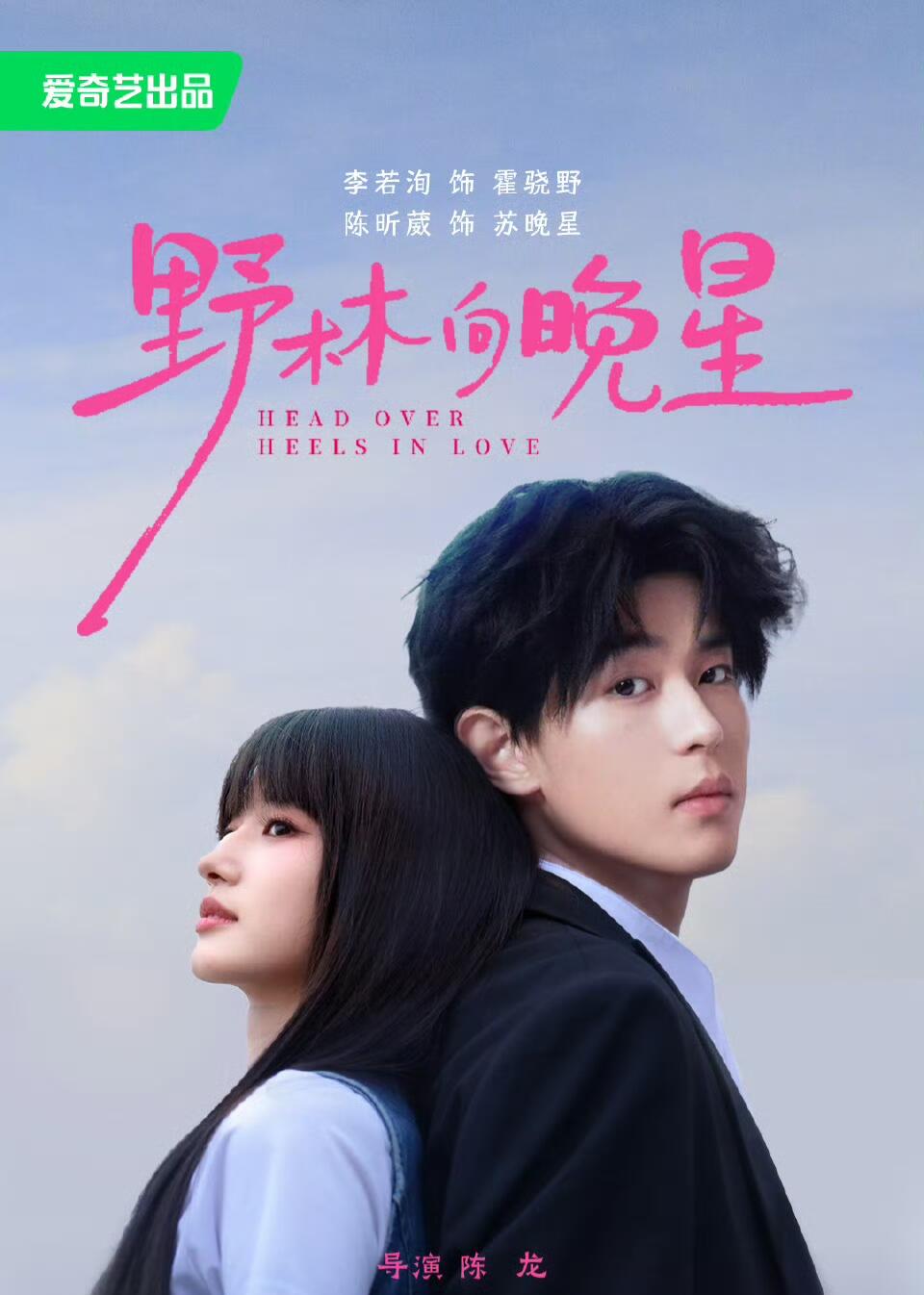 野林向晚星封面图