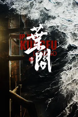 宗师叶问封面图