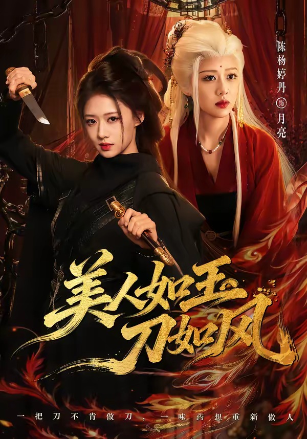 美人如玉刀如风封面图