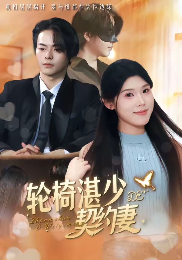 轮椅湛少的契约妻封面图