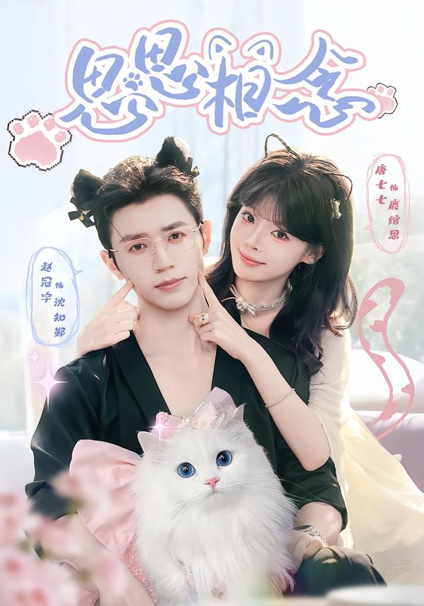 思思相念封面图