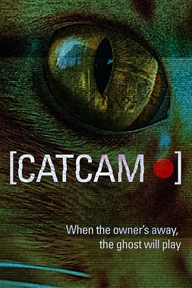 猫咪摄像头封面图