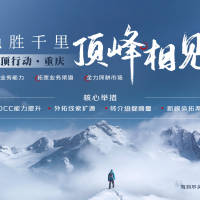 顶峰封面图