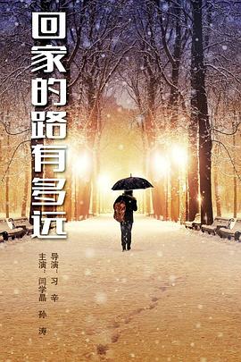 回家的路有多远封面图