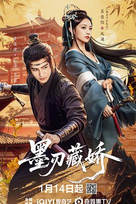 墨刃藏娇封面图