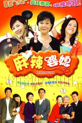 麻辣婆媳封面图