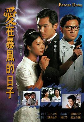 爱在暴风的日子粤语封面图